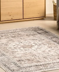 Nuloom Teahouse Davi 8'x10' Area Rug