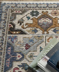 Oriental Weavers Hastings HA04E 2'3x7'6 Runner Area Rug
