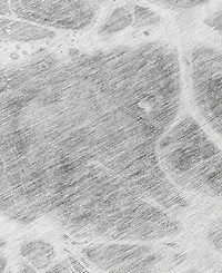 Addison Chantille Machine Washable ACN682 5'x7'6" Area Rug