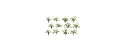Versatile Assorted Fern Foliage Set (Pack of 12)-Ideal for Creating Lush Garden Settings Indoors and Outdoors