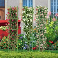 2-Pack Garden Trellis 56" Plant Support & Tomato Cages with Adjustable Height