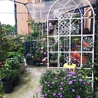 Streamdale Furniture Assembled 4-Pack Plant Trellises for Vine Plants and Climbing Flowers