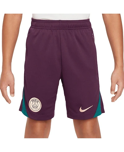 Nike Big Boys and Girls Burgundy Paris Saint-Germain 2024/25 Strike Performance Shorts