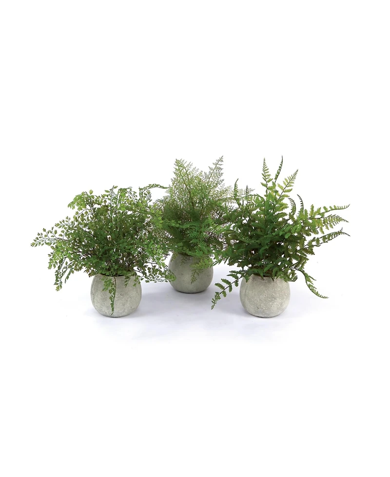 Set of 3 Potted Ferns-14 Inches High, Realistic Artificial Plastic Plants for Home and Office Decor