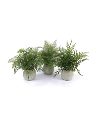 Set of 3 Potted Ferns-14 Inches High, Realistic Artificial Plastic Plants for Home and Office Decor