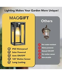 Maggift Solar Lantern Outdoor Waterproof 2-Pack