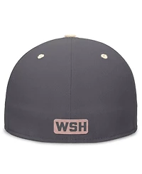 Nike Men's Graphite/Natural Washington Nationals City Connect True Fitted Hat