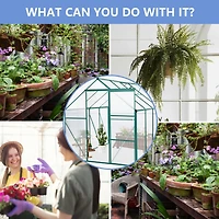 Streamdale Green-6 X 8 Ft Outdoor Patio Greenhouse