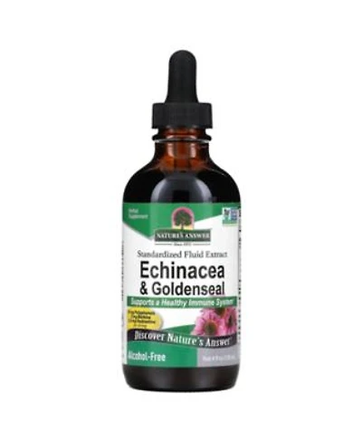 Natures Answer Echinacea Goldenseal Alcohol Free 4 Fl Oz 120 Ml