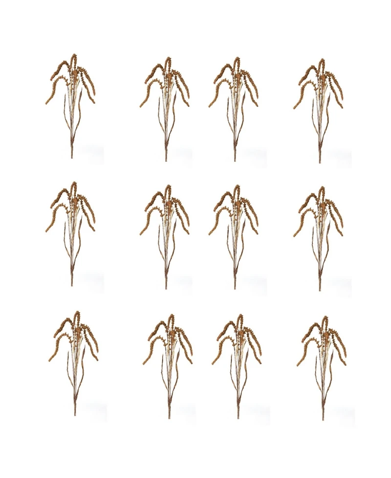 Set of 12 Amaranthus Stems for Decorative Arrangements