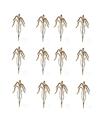 Set of 12 Amaranthus Stems for Decorative Arrangements