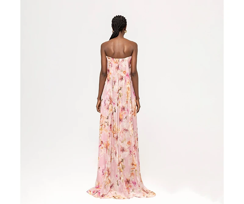 Nissa Women's Printed Corset-Style Maxi Dress