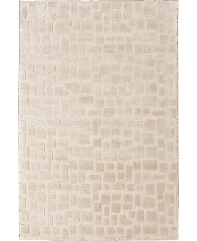 Mink Home Leisure Shore 3'3"x5'3" Area Rug