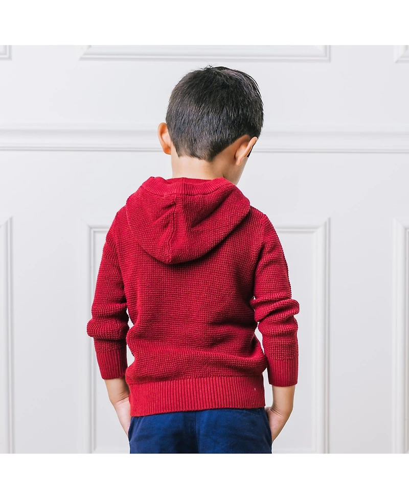 Hope & Henry Baby Boys Long Sleeve Hooded Henley Sweater