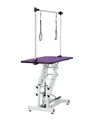 Streamdale Furniture 42.5" Hydraulic Pet Grooming Table with Adjustable Arm