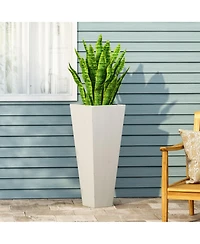 Ella L: Stylish Plant Haven For Thriving Greenery