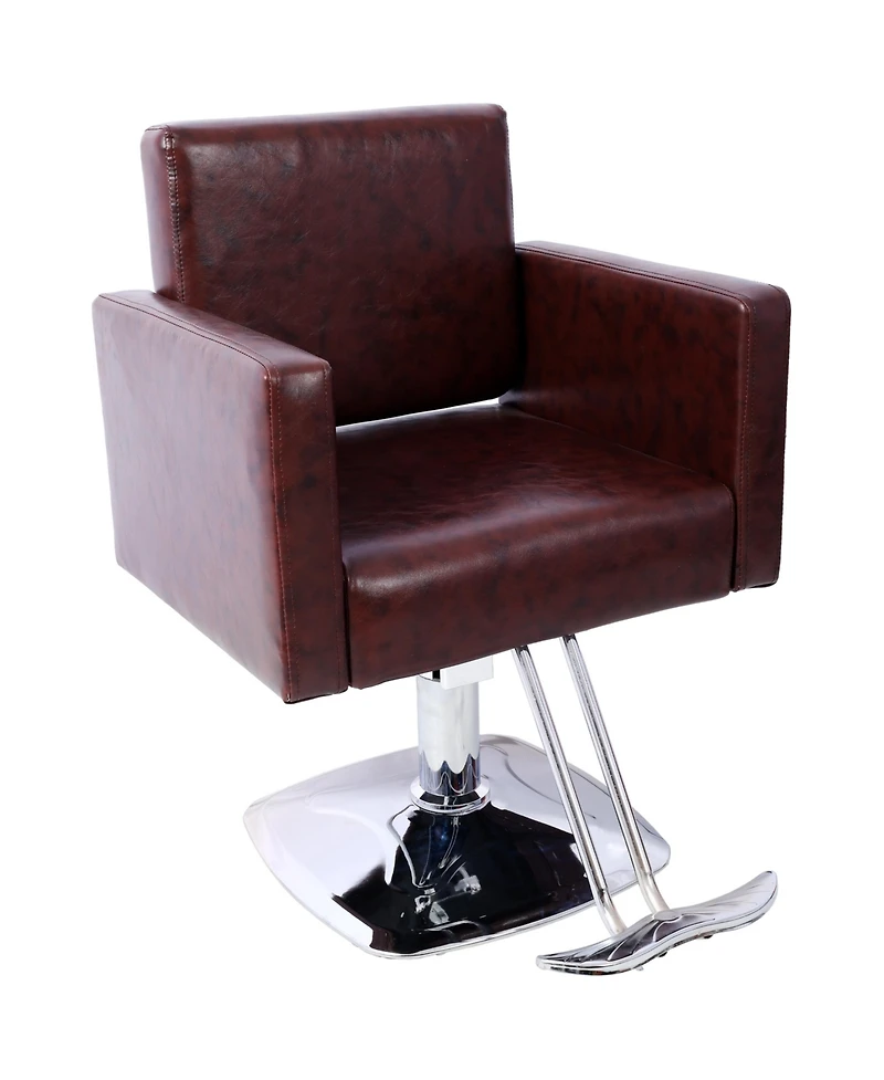 Simplie Fun Salon Chair with Hydraulic Pump, 360° Swivel, 330 lbs Capacity