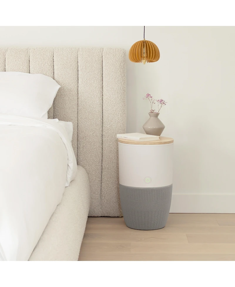 Bloom Air Purifier, Smart Hepa-13 Medical-Grade Filtration, Large Rooms (1,517 Sq. Ft.) with Oak Accent Table