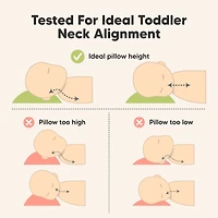 2pk Jumbo Toddler Pillow - Soft Organic Cotton Kids Pillows for Sleeping - 14X20 Travel Pillow for Kids Age 2-5