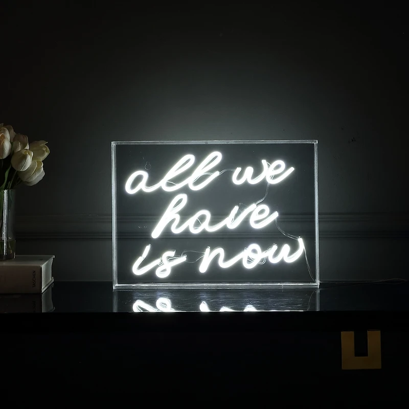 All We Have Is Now Contemporary Glam Acrylic Box Usb Operated Led Neon Light Lamp
