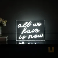 All We Have Is Now Contemporary Glam Acrylic Box Usb Operated Led Neon Light Lamp