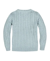 Hope & Henry Boys Organic Long Sleeve Fine Gauge Cable V-Neck Sweater