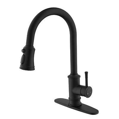 Brushed Nickel Pull Out Kitchen Faucet with Pull Down Sprayer