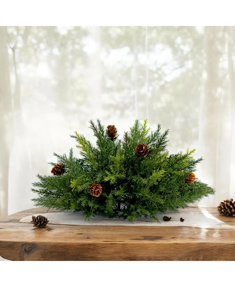 Arborvitae Half Orb