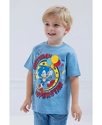 Sega Boys Sonic the Hedgehog Birthday T-Shirt to