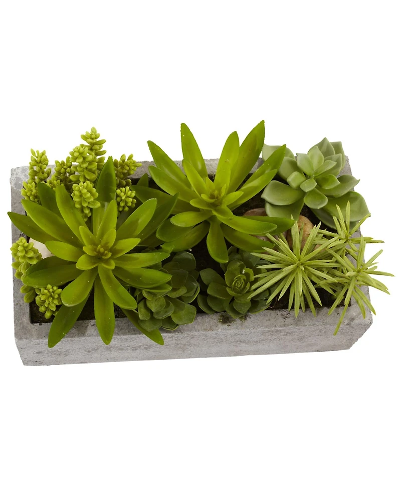 Slickblue Succulent Garden in Concrete Planter Modern Indoor Plant Decor