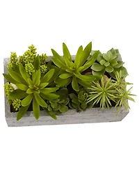 Slickblue Succulent Garden in Concrete Planter Modern Indoor Plant Decor