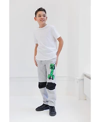 Minecraft Boys Fleece 2 Pack Jogger Pants to