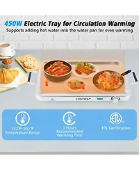 Food Warmer Buffet Server 450W Stainless Steel Electric Warming Tray for Parties