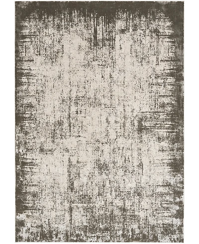 Nourison Home Desire DSR05 3'11"x5'11" Area Rug
