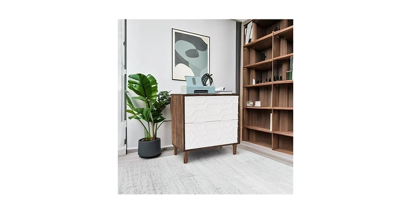 Tribesigns 2-Drawer File Cabinet, Lateral Filing Office Storage Printer Stand with Drawer for Home