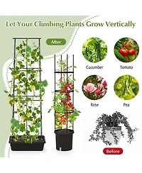 Sugift 2 Pack Garden Planters with Trellis Cucumber Trellis Tomato Cage-Black