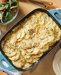 Rachael Ray Nitro Cast Iron 9-Inch x 13-Inch Roasting Pan