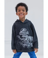 Jurassic World Boys Dinosaur T-Rex Fleece Pullover Hoodie to