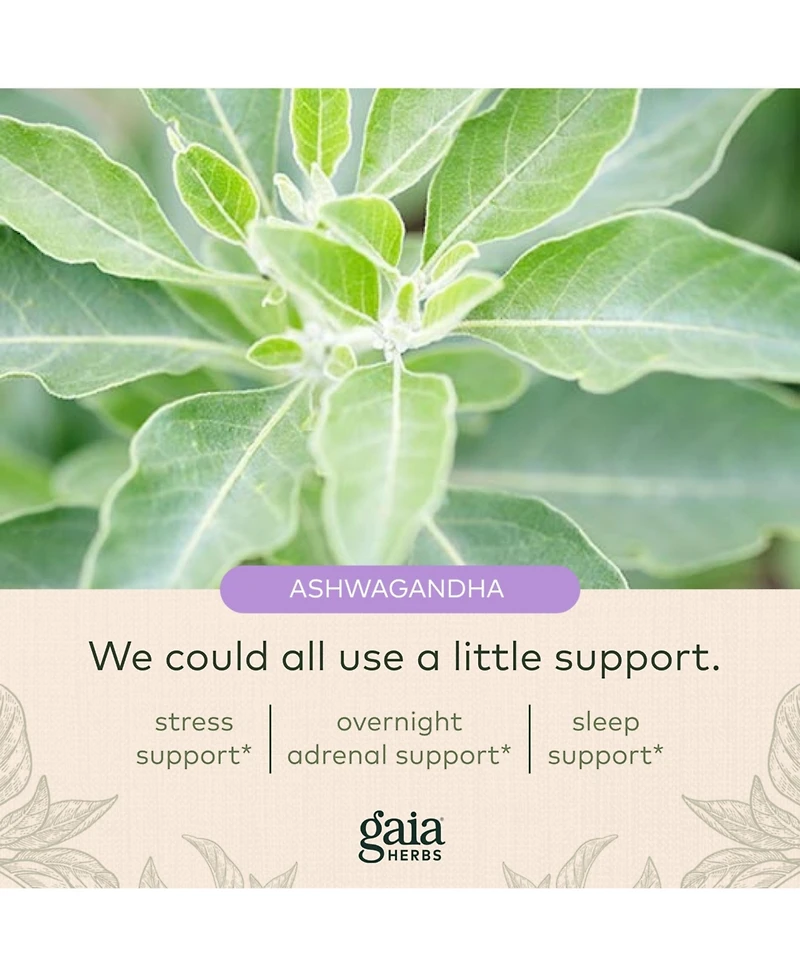 Gaia Herbs Adrenal Health Nightly Restore - Adrenal Support Herbal Supplement with Ashwagandha, Magnolia Bark, Cordyceps, Lemon Balm, and More
