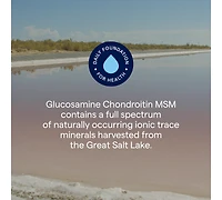 Trace Minerals Glucosamine/Chondroitin/Msm - Liquid Supplement Aids Body Mineral Health - Support for Bone Strength & Joint Health