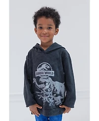 Jurassic World Toddler Boys Dinosaur T-Rex Fleece Pullover Hoodie to