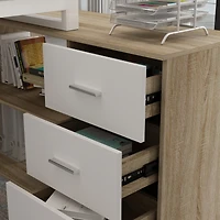 Famapy 55.1 in. L-Shaped Brown Wood Computer Desk Writing Office Executive W/Removable Tabletop, Shelves, 3-Drawers