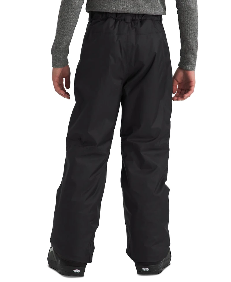 The North Face Big Boys Freedom Insulated Pants