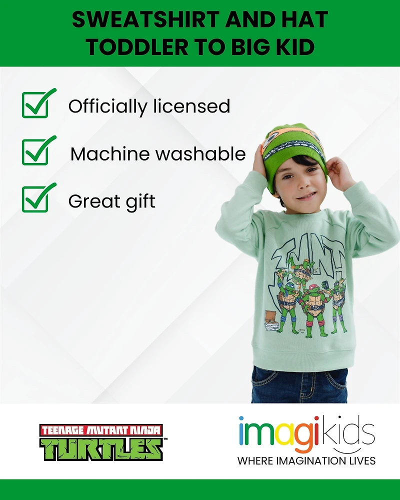 Teenage Mutant Ninja Turtles Boys Fleece Sweatshirt and Hat