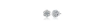 Sterling Silver White Gold Plated with Clear Cubic Zirconia Flower Halo Stud Earrings