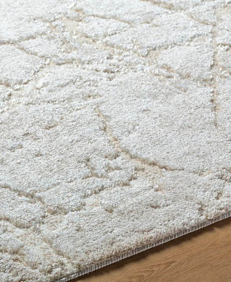 Livabliss Andorra Plus Arp-2312 5'3"x7'3" Area Rug