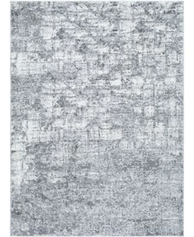 Livabliss Andorra Plus Arp 2308 Rug Collection