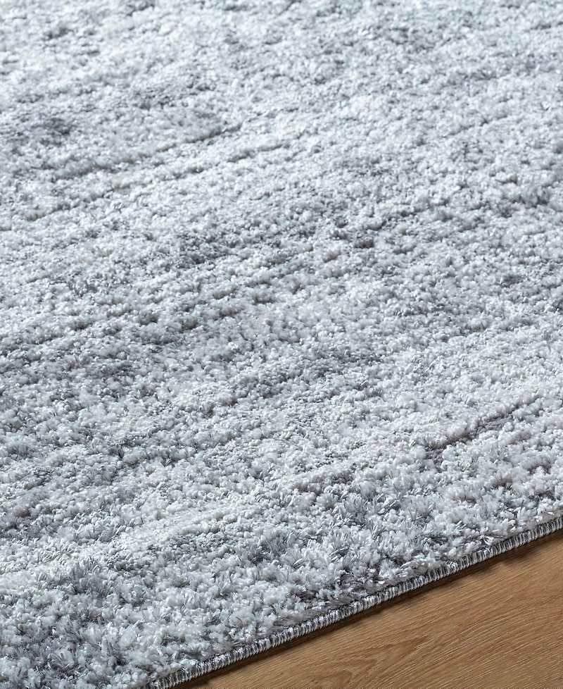 Livabliss Andorra Plus Arp-2310 5'3"x7'3" Area Rug