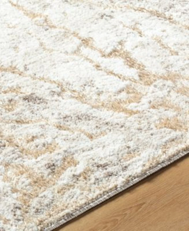 Livabliss Andorra Plus Arp 2300 Rug Collection