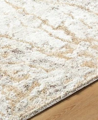 Livabliss Andorra Plus Arp 2300 Rug Collection